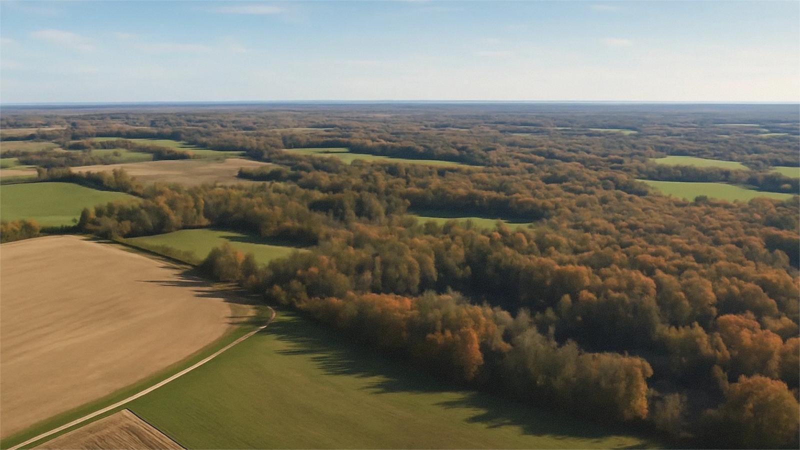 Open Michigan land access road near Huron County