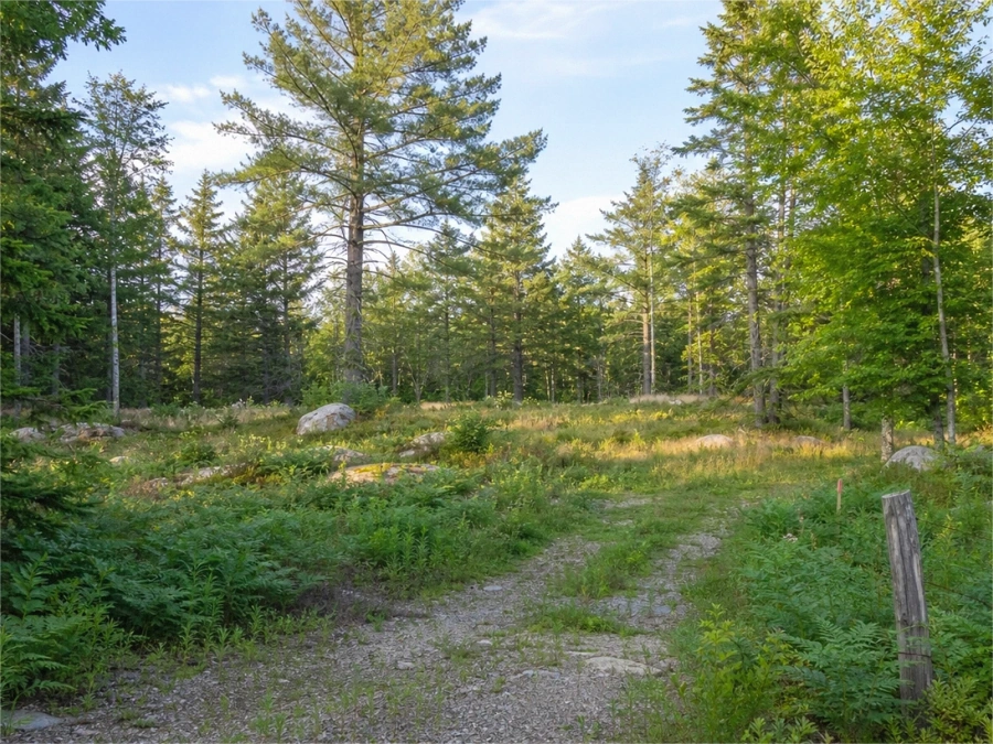 Rural Access Parcels in Huron County